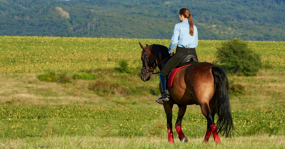 Paseo-a-Caballo