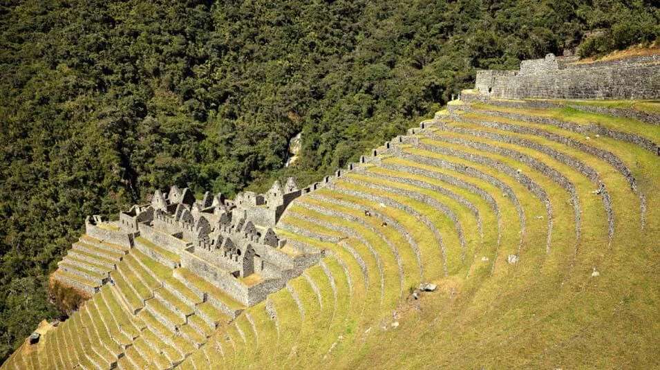 winay-huayna-camino-inca-machu-picchu-cusco-perurail